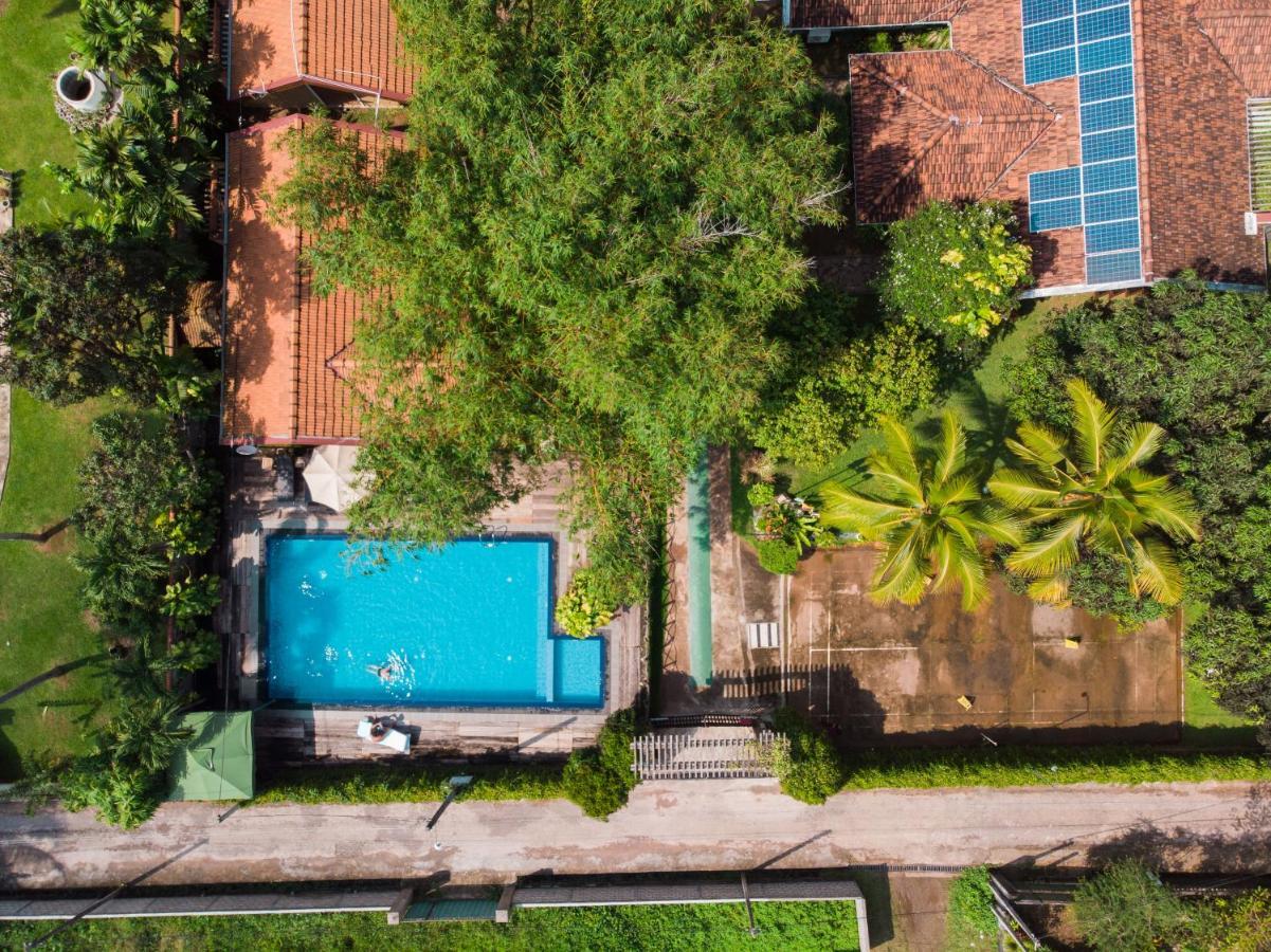 Villa Shade Negombo Dış mekan fotoğraf