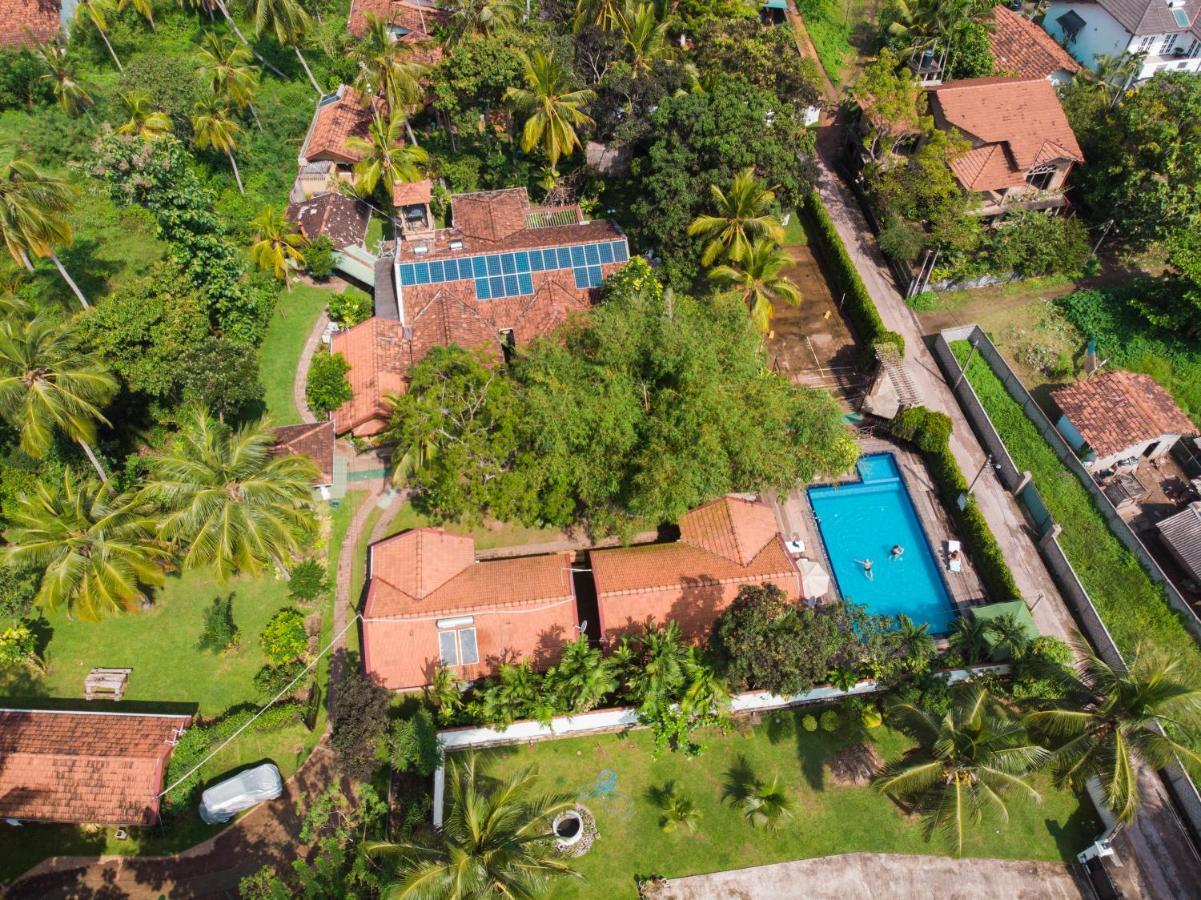 Villa Shade Negombo Dış mekan fotoğraf