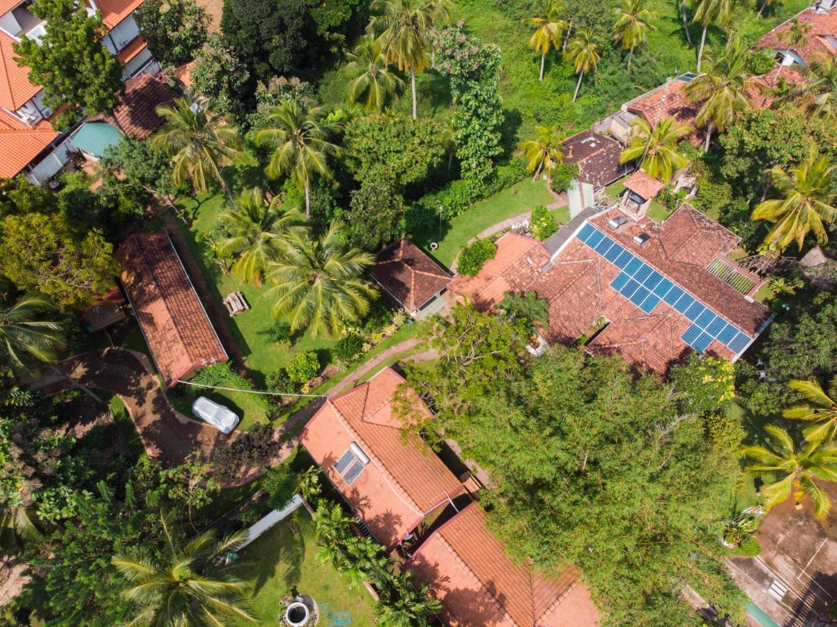 Villa Shade Negombo Dış mekan fotoğraf